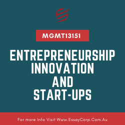 MGMT13151 - Entrepreneurship, Innovation and Start-ups Assignment