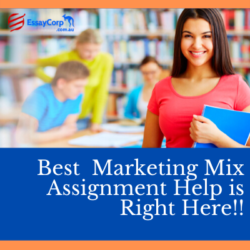 Marketing Mix Assignment Help