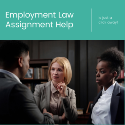 Professional Employment Law Assignment Help is Just a Click Away